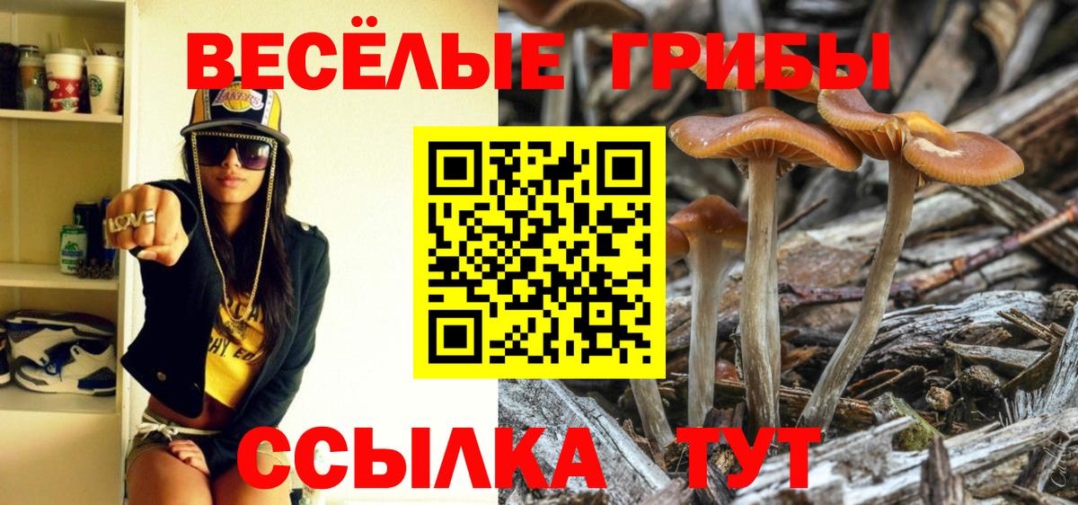 Галлюциногенные грибы MAGIC MUSHROOMS Коломна