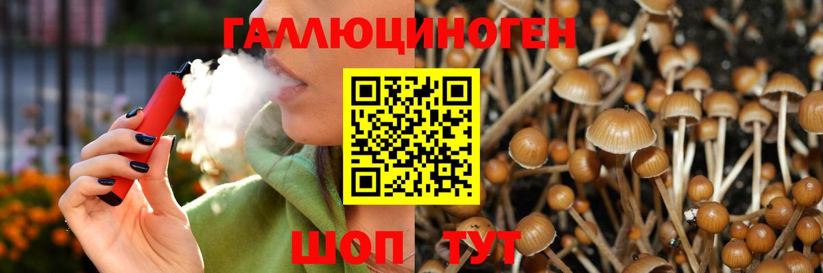 Коломна  Галлюциногенные грибы MAGIC MUSHROOMS  Вход с VPN 